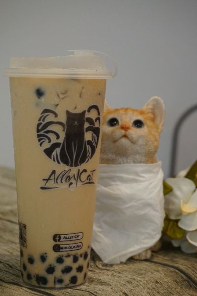 Pearl Milk Tea